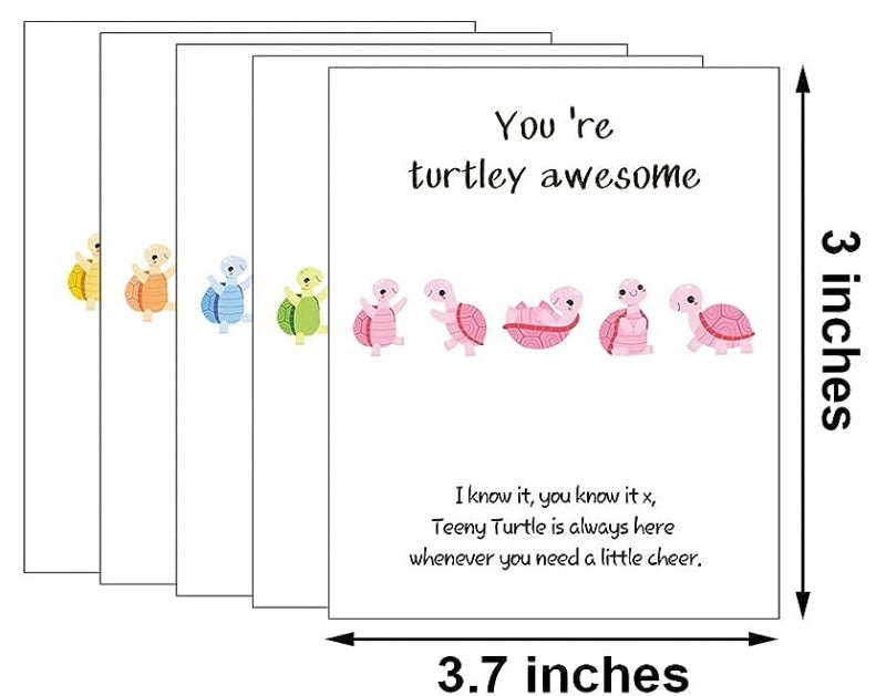 Tiny Turtle