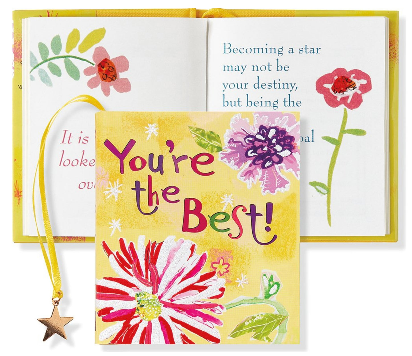 Tiny Inspirational Pocket Sized Books