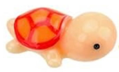 Tiny Turtle
