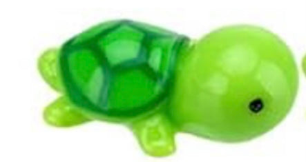 Tiny Turtle