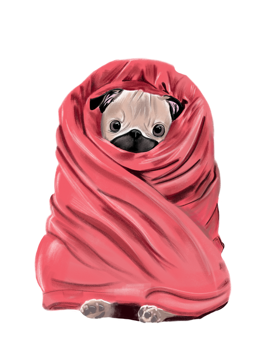 Snug Pug sticker