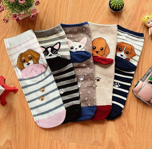 Tiny Dog Socks
