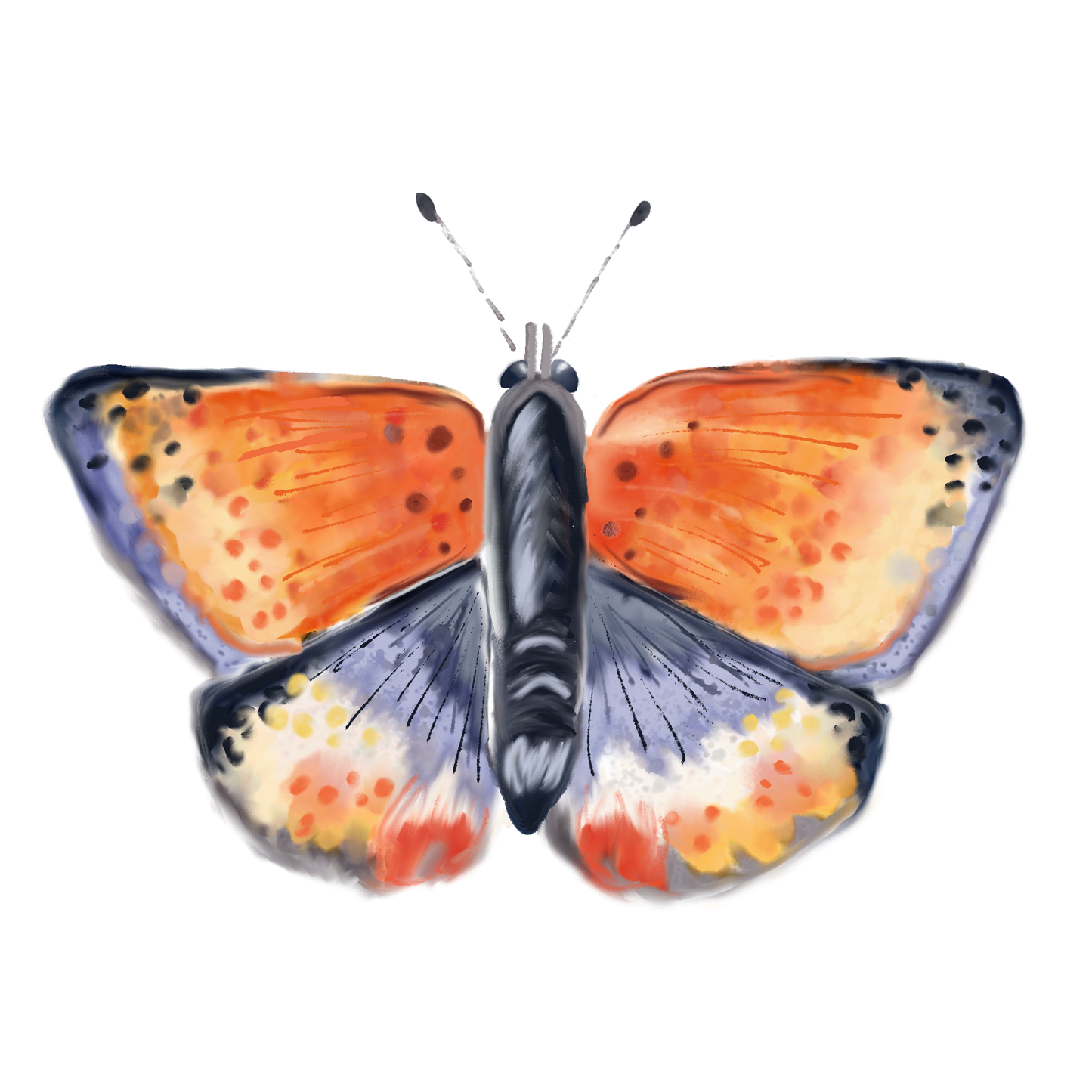 Watercolor Moth Sticker