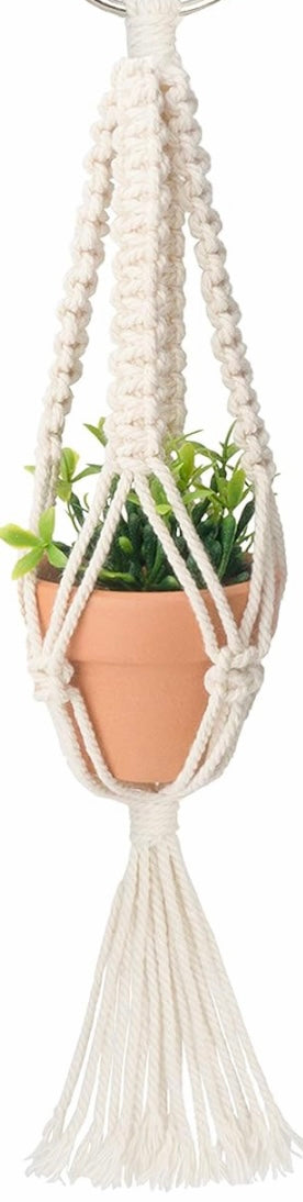 Tiny Hanging Plant